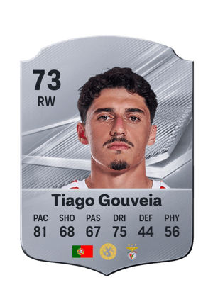 Tiago Gouveia - 73 - Rare