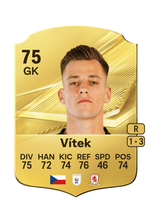 Carta de Radek Vítek en FC 27
