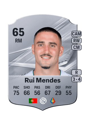 Rui Mendes - 65 - Rare