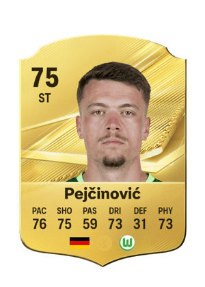 Pejčinović - 75 - Rare