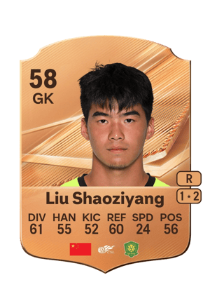 Liu Shaoziyang - 58 - Rare