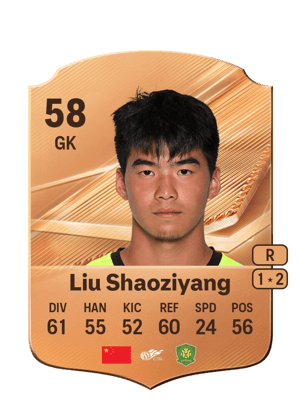 Liu Shaoziyang - 58 - Rare