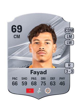 Fayad - 69 - Rare