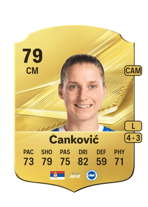 Čanković - 80 - Rare