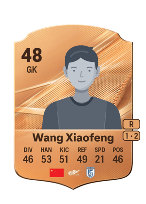 Wang Xiaofeng - 48 - Rare