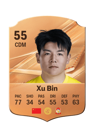 Xu Bin - 55 - Rare