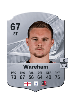 Wareham - 67 - Rare