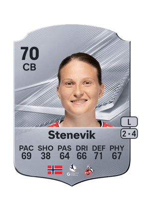 Stenevik - 70 - Rare