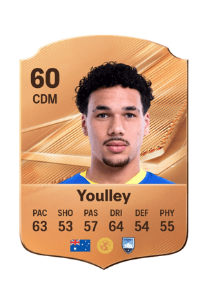 Youlley - 60 - Rare