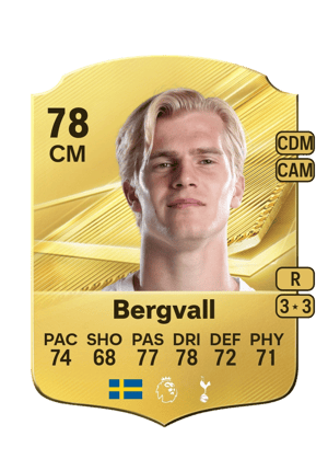 Bergvall - 78 - Rare