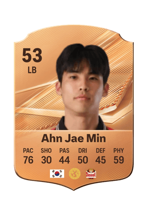 Ahn Jae Min - 53 - Rare