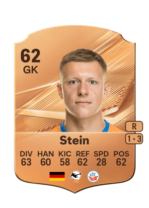 Stein - 62 - Rare