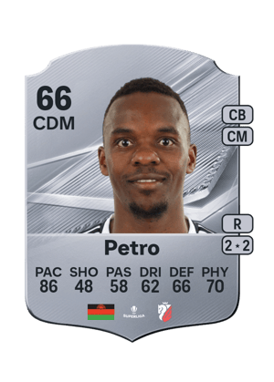 Petro - 66 - Rare