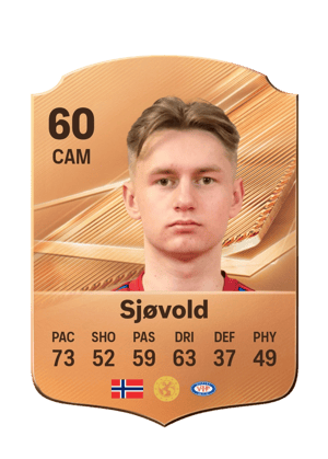 Sjøvold - 60 - Rare