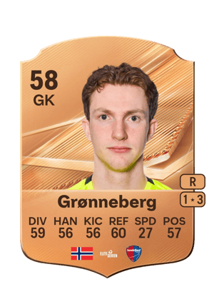 Grønneberg - 58 - Rare