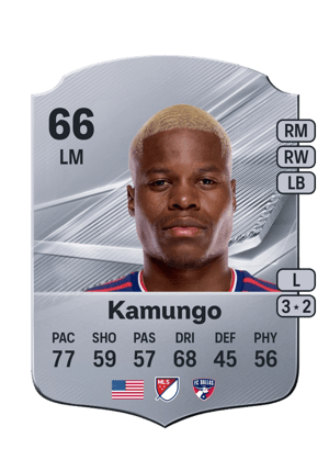 Kamungo - 66 - Rare