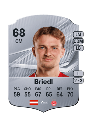 Briedl - 68 - Rare