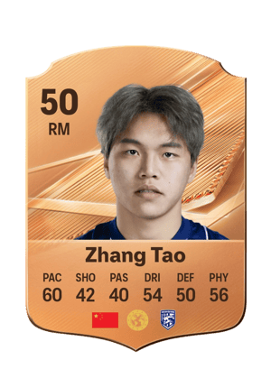 Zhang Tao - 50 - Rare