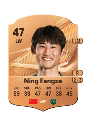 Ning Fangze - 47 - Rare