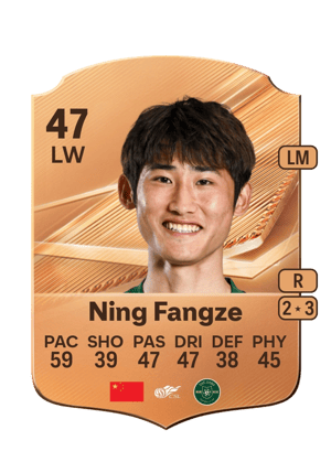 Ning Fangze - 47 - Rare