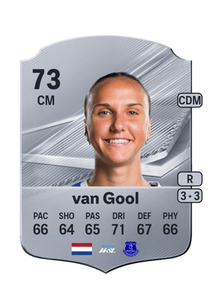 van Gool - 73 - Rare