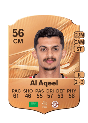 Mohammed Al Aqeel FC 27 kartı