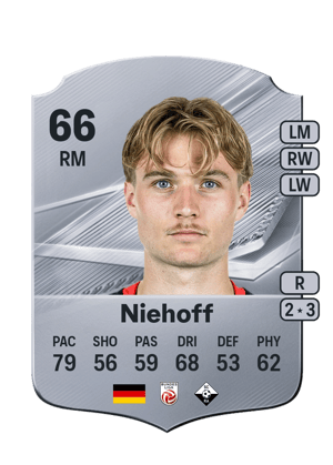 Niehoff - 66 - Rare