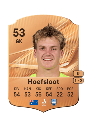 Hoefsloot - 53 - Rare