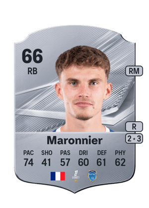 Maronnier - 66 - Rare