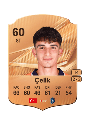 Çelik - 60 - Rare