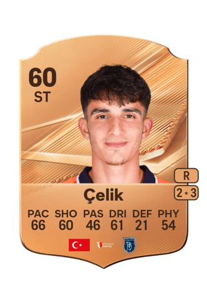 Çelik - 60 - Rare