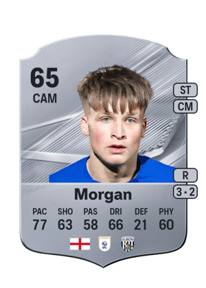 Morgan - 65 - Rare