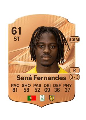 Saná Fernandes - 61 - Rare