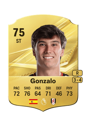 Gonzalo - 75 - Rare