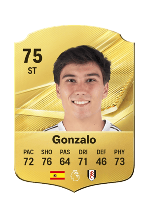 Gonzalo - 75 - Rare