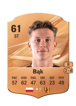 Bąk - 61 - Rare