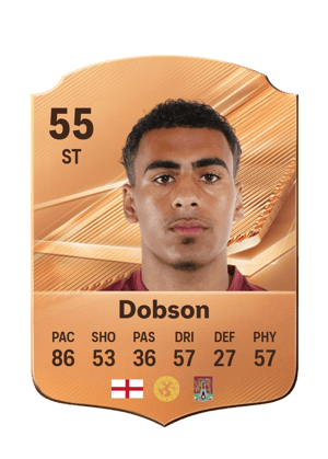 Dobson - 55 - Rare