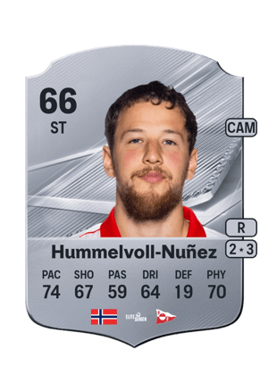 Hummelvoll-Nuñez - 66 - Rare