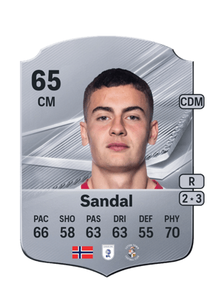 Sandal - 65 - Rare