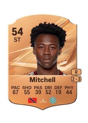 Mitchell - 54 - Rare