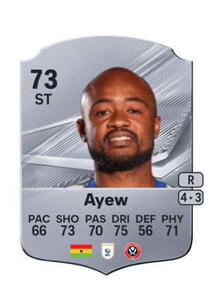 Ayew - 73 - Rare