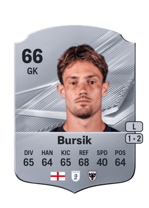Bursik - 66 - Rare