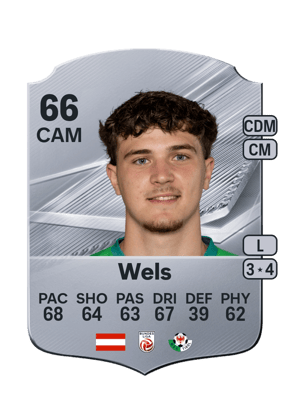 Wels - 66 - Rare
