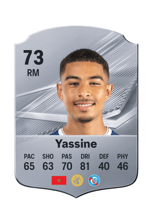 Yassine - 73 - Rare