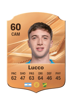 Lucco - 60 - Rare