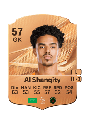 Al Shanqity - 57 - Rare