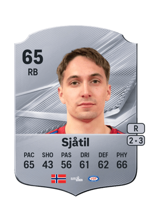 Sjåtil - 65 - Rare