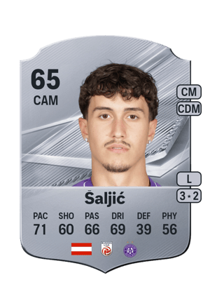 Šaljić - 65 - Rare