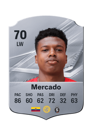 Mercado - 73 - Rare