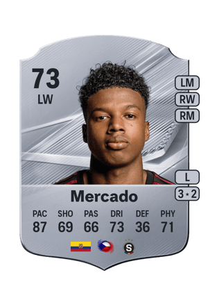 Mercado - 73 - Rare